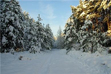 SE官方确认：《最终幻想16》将登陆PC 不会很快发售