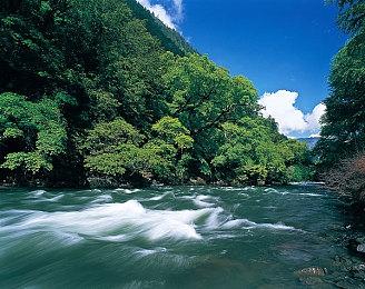 像素风种田游戏《帕查的根源》 于Steam推出试玩Demo