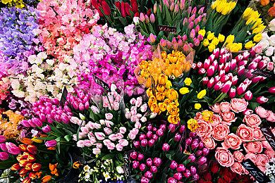 ARPG《恶意不息》4月18日登陆Steam抢先体验